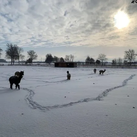 Igluhut 5 Holiday home Bahrenborstel